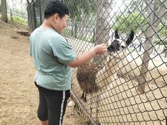 -大连森林动物园