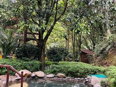 -明月山天沐温泉度假村