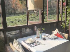 -野蔓果·山野菜(西湖景区·龙井茶田店)