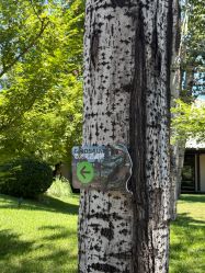 -禧园Joyous Garden ·宴会厅(禧园店)