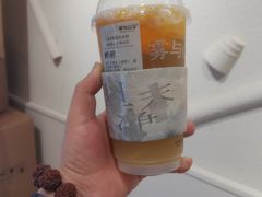 -雾与山茶(大禹城店)