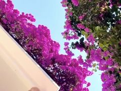 -梅州天地人花园酒店(梅县人民广场店)