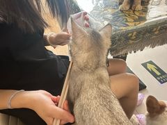 -平行世界·猫咖(首经贸店)
