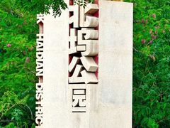 -北坞公园
