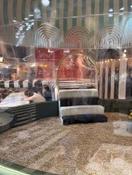 点击看大图 -超级奈尔宝SUPER NEOBIO(杭州星光店)