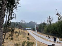 -黄陂区野村谷景区
