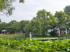 -北陵公园