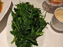 清炒豌豆尖-渝信川菜·川味家常菜(新辰里亚运村店)
