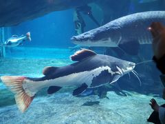 -华夏文旅海洋公园