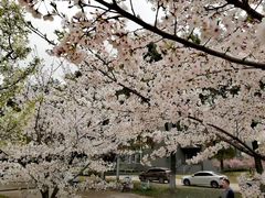 -同济大学(嘉定校区)