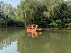 -溱湖国家湿地公园