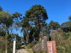 -梧桐山风景名胜区