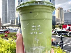 -鹤茶野所(上海首店)