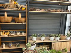 -鲜菌江湖正宗野生菌火锅