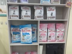 -天宠宠物医院24小时·急重症诊疗中心·全科·腔镜特色(和平分院)