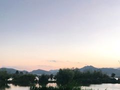 -五甲塘生态湿地公园