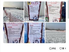 -绿野森林乐园冰雪季