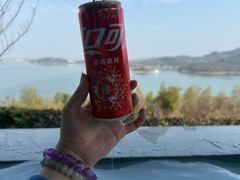 -天目湖涵田度假村