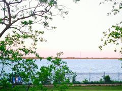-江滩湿地公园