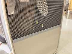 -圣宠动物医院·犬猫专科·影像中心·外科中心