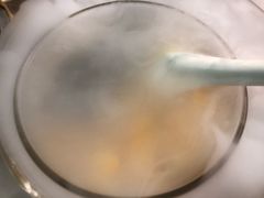 -糖朝(尖沙咀店)