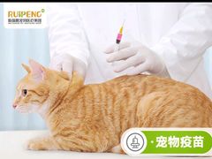 -艾贝尔宠物医院·宠保定点·超声绝育·免疫点(樱花路店)