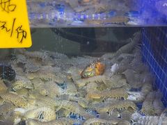 -501號台州海鲜餐厅(海创园店)