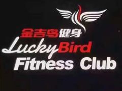 -金吉鸟健身游泳