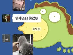 -半岛宠物医院24小时(科华中路店)