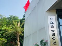 -野狸岛
