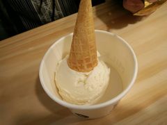 原味冰淇淋-ICEPOPO MILK(玉兰店)
