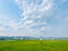-敕勒川草原