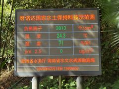 -呀诺达热带雨林