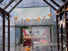 -前小桔亲子创意农场·草莓采摘·露营烧烤
