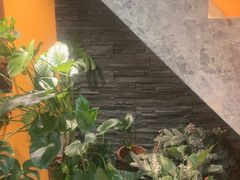 -泰古龙抓龙筋·spa按摩(静安店)