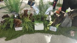 -IMON·HANSA潮玩玩偶毛绒玩具(通州万象汇店)