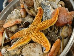 -今鲜源大酒店·海鲜锅贴青岛菜(新湛路店)