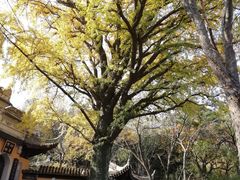 -穹窿山景区