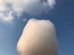 -阳澄湖中路(地铁站)