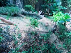 -河川生态园