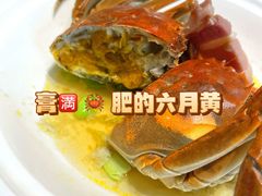 -新光酒家·河豚·海鲜·蟹料理(浦东店)
