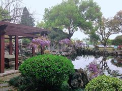 -浙江西子宾馆·瑶园咖啡厅