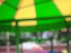 -晓港公园