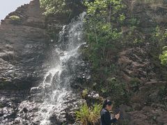 -雅苑中餐厅