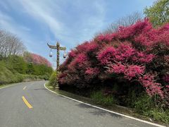 -宜兴龙背山森林公园
