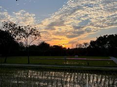 -广东花都香草世界旅游度假区