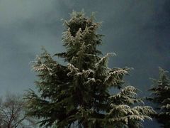 -春晖园度假酒店温泉