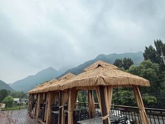 -遇见小院—虹鳟鱼•农家菜(怀柔店)
