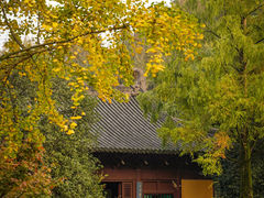 -慧因高丽寺
