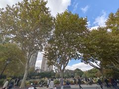 -中山公园